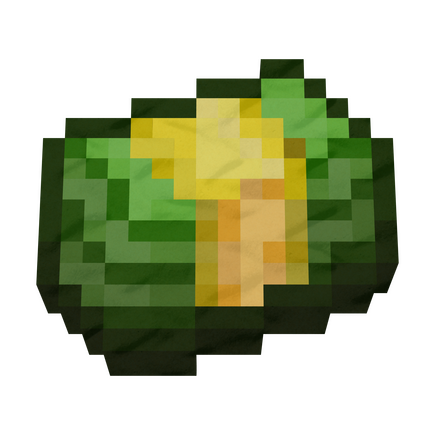 MoneyMC Icon